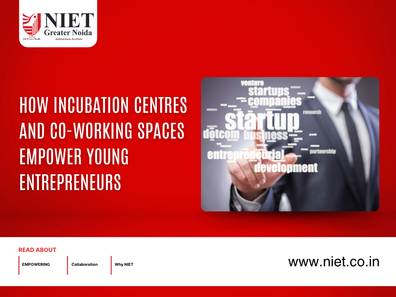 How Incubation Centres and Co-Working Spaces Empower Young Entrepreneurs